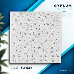 P3 631