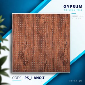 P5_1 ANQ T