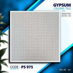 P5 975
