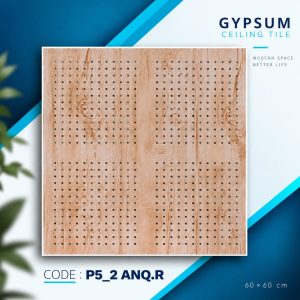 P5_2 ANQ R